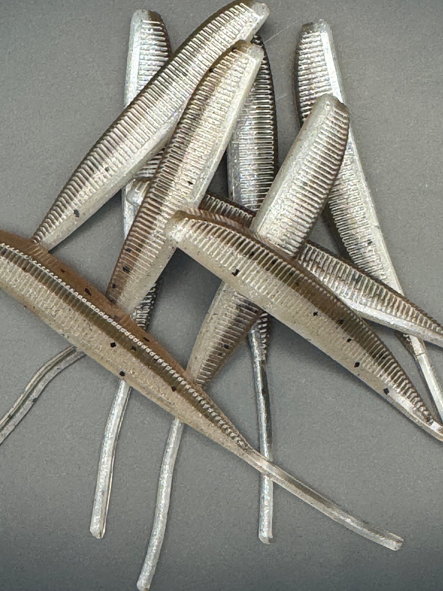 Drop Shot Minna Pintail Swimbait (12 pack)